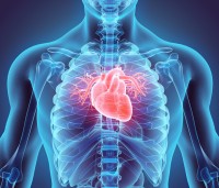 February is  marked as 'Heart Month' - a time to bring attention to the importance of cardiovascular health, and what we can to reduce our risk of cardiovascular disease.