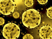 Coronavirus critical care cute respiratory infections