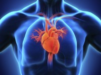 Adrenaline and vasopressin for cardiac arrest 