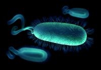 New Cochrane evidence indicates that eradicating Helicobacter pylori may help to reduce the risk of gastric cancer.