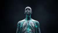 a rendering of a human torso with blue particles circulating throughout it