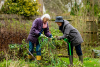 two older women are gardening