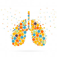 Artist concept of lungs