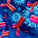 New Cochrane review assesses how accurate antibody tests are for detecting COVID-19 