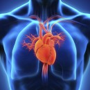 Adrenaline and vasopressin for cardiac arrest 