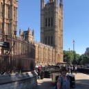 This week Cochrane was given the opportunity to speak as part of the UK’s first ever Evidence Week at the Houses of Parliament in London, UK
