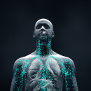 a rendering of a human torso with blue particles circulating throughout it