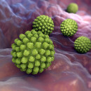 Rotavirus stock photo