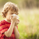 Allergic rhinitis, or hayfever, is a common condition affecting both adults and children
