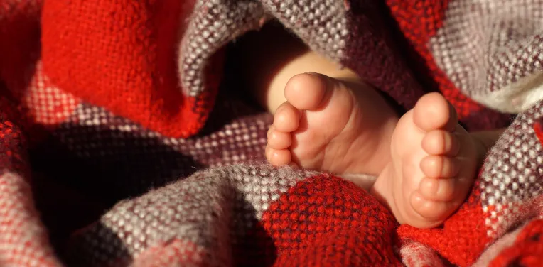 Baby feet peeking from a cozy, red and white checkered blanket. The scene conveys warmth and comfort, with soft sunlight illuminating the fabric.