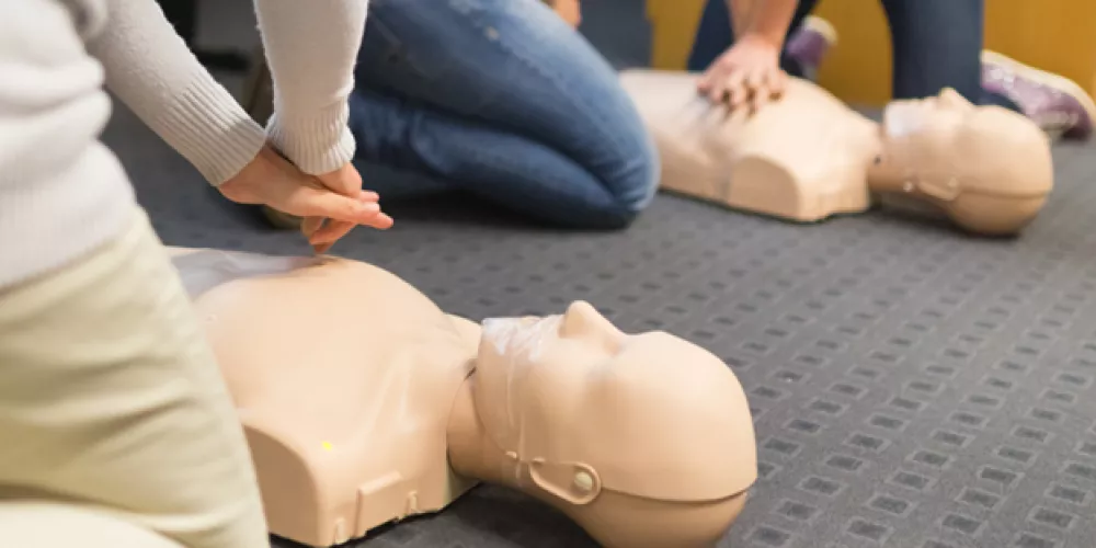 People practicing CPR on dummies during a first aid training session