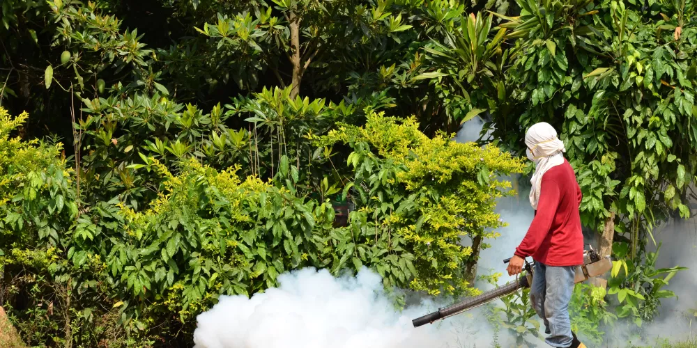 Man fogging to prevent spread of dengue fever in Thailand