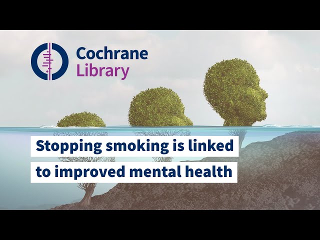 YouTube video WmDrBrGYgnQ